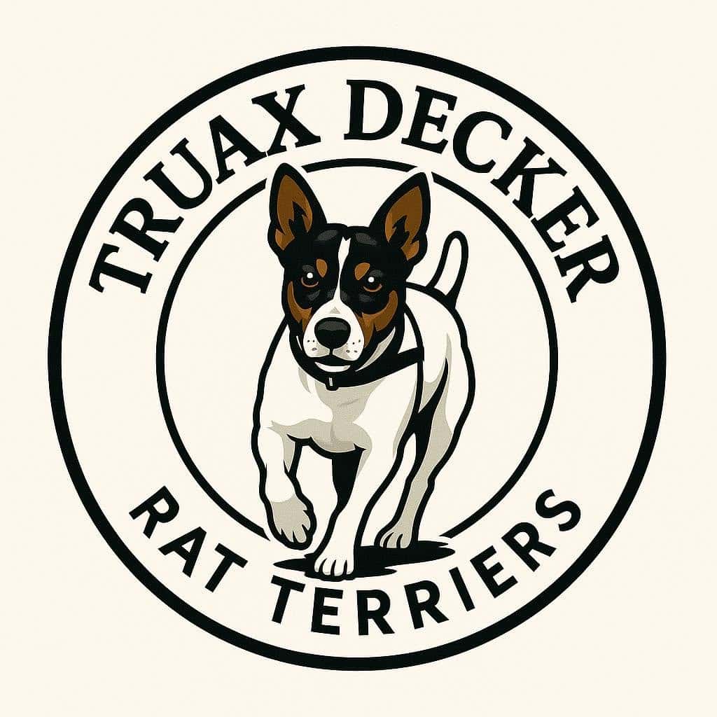 Truax Decker Rat Terriers