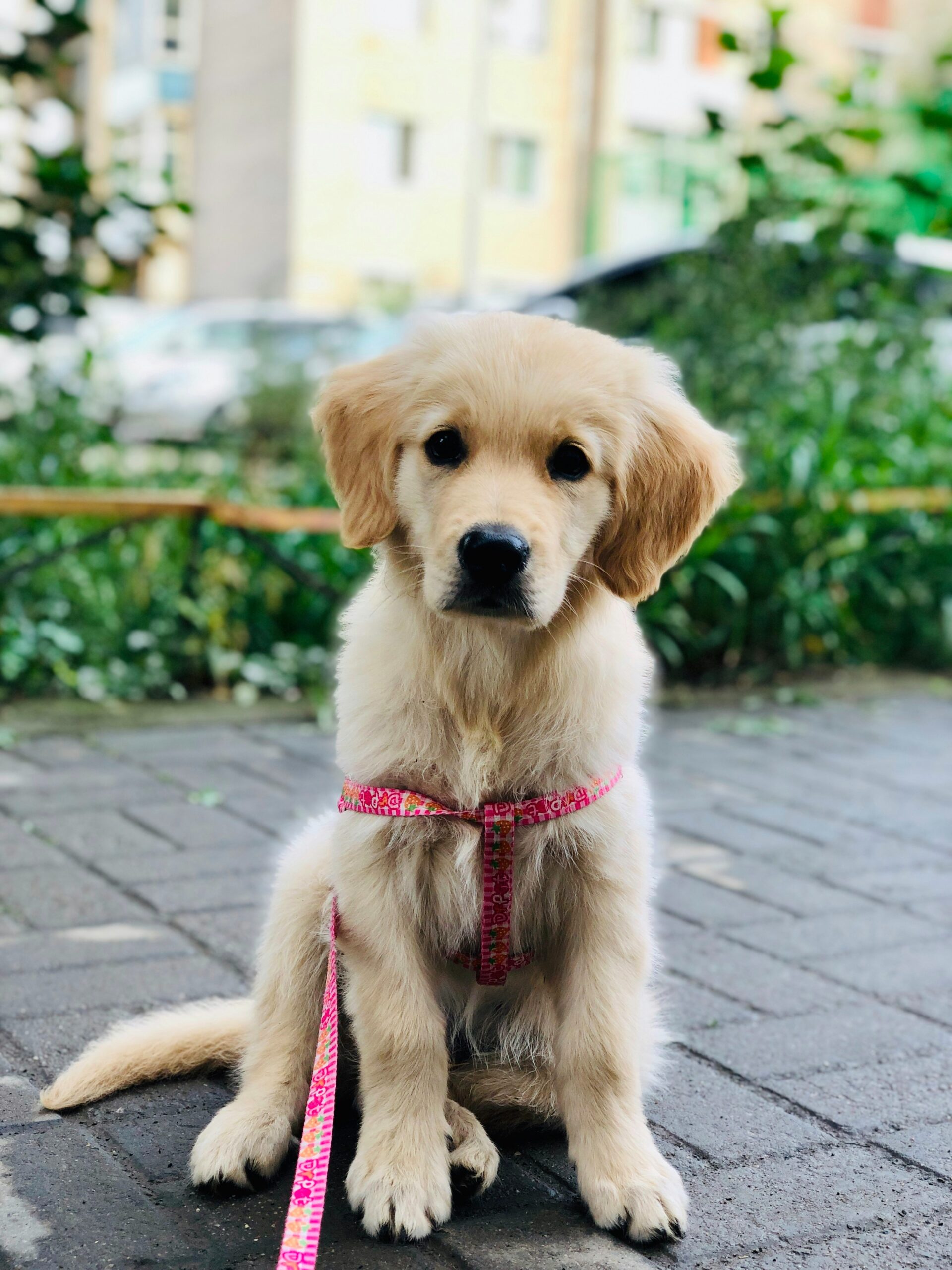 Hello world!