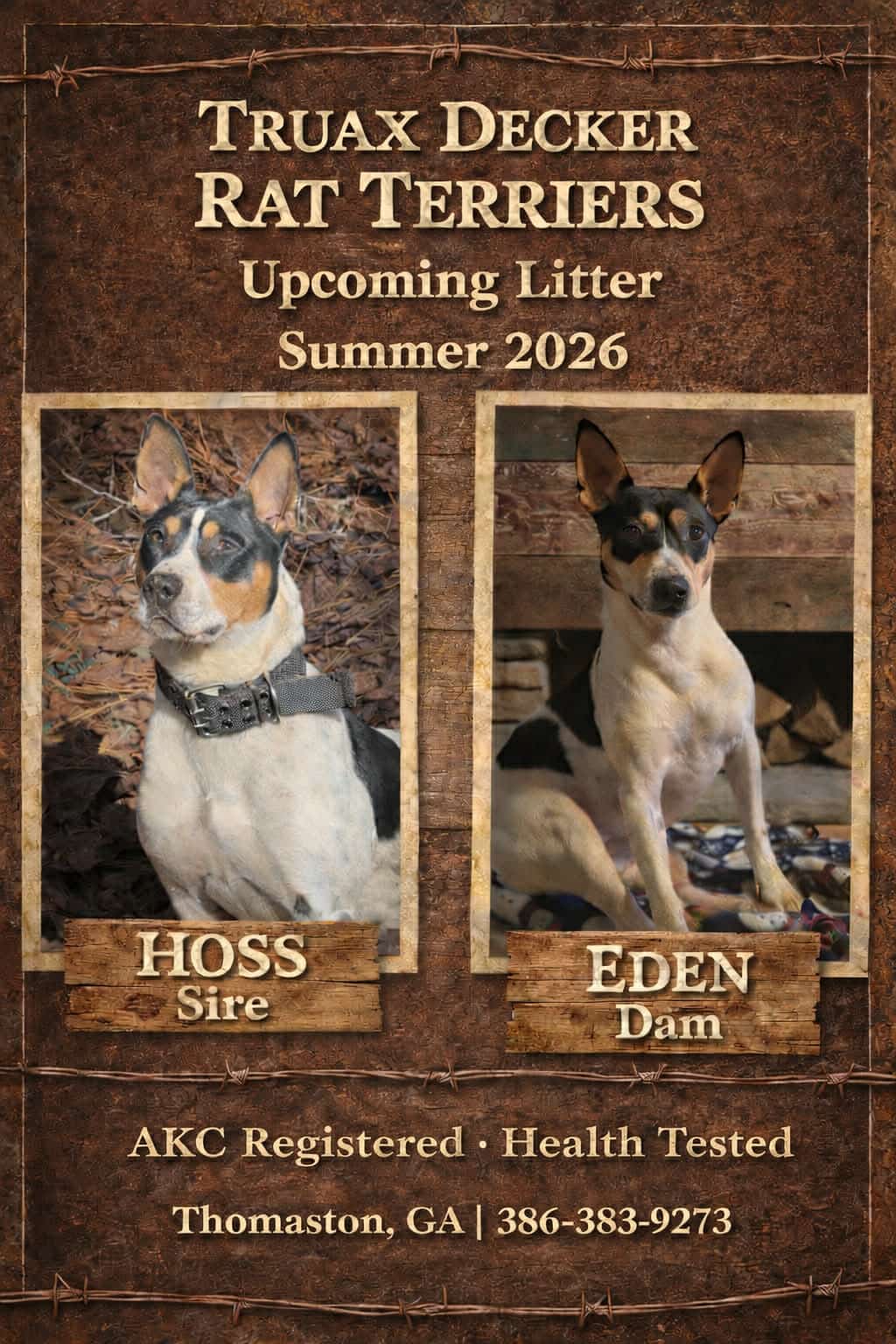 Expected Puppy